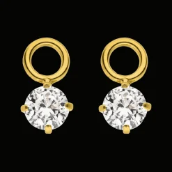 Anhänger für Piercings | Titan