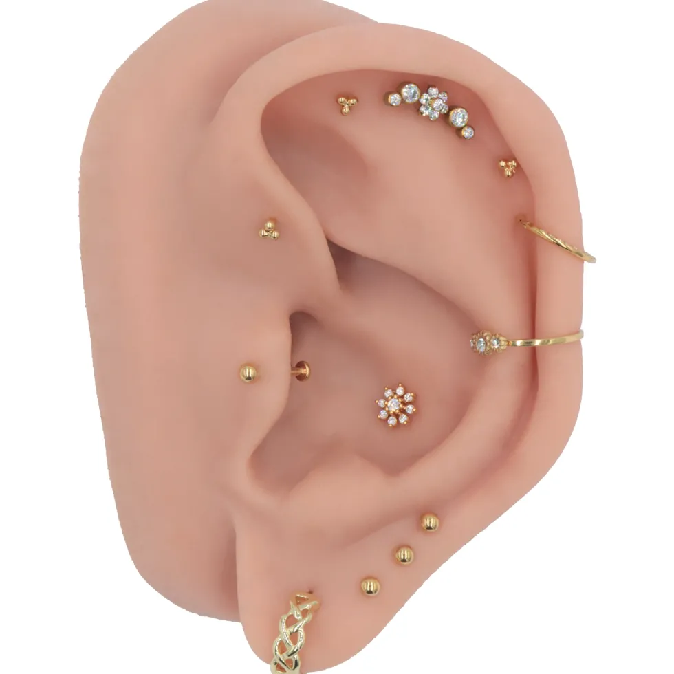 Bullets Piercing | Titan