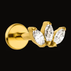 Cataleya Piercing | Titan