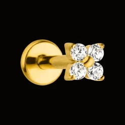 Cute Four Piercing | Titan