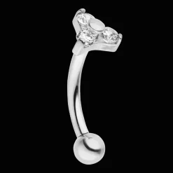 Cute Three Rook Piercing | Titan