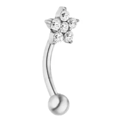Flower Rook Piercing | Chirurgenstahl