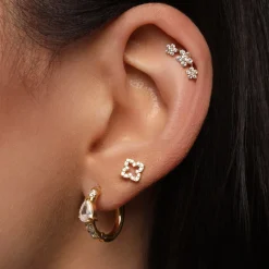 Glim Clover Piercing | Titan