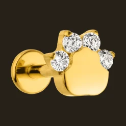 Shiny Paw Piercing | Titan