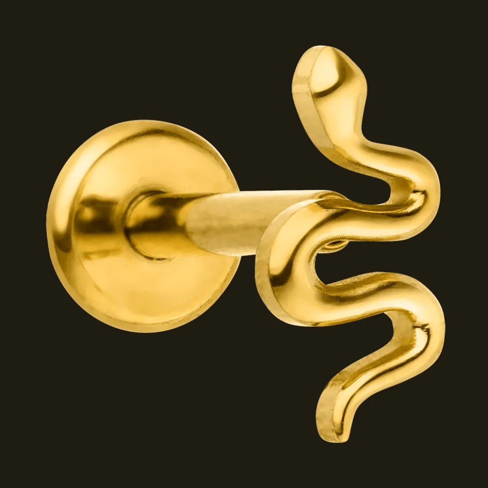 Tiny Snake Piercing | Titan
