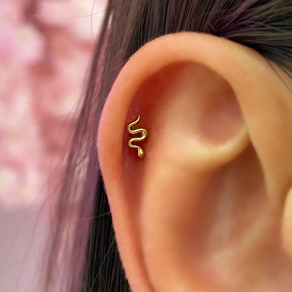 Tiny Snake Piercing | Titan