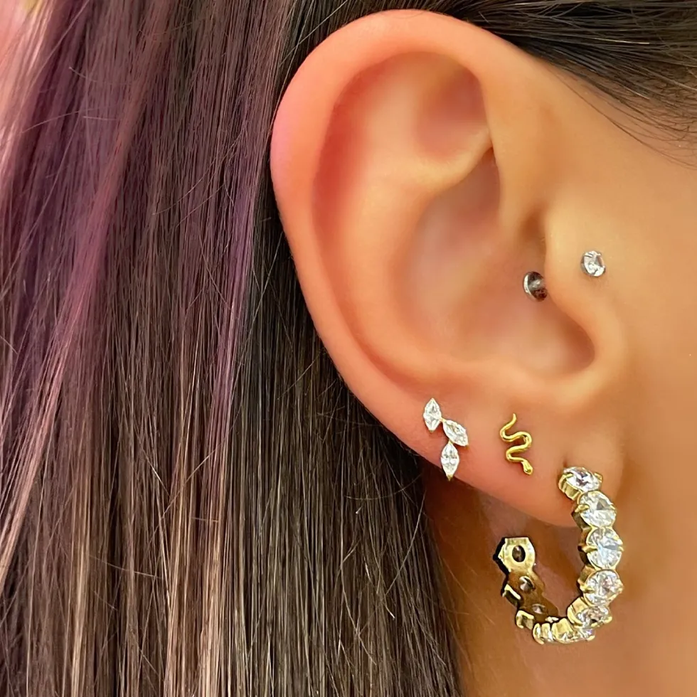 Tiny Snake Piercing | Titan