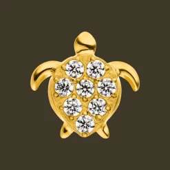 Turtle Piercing | Titan