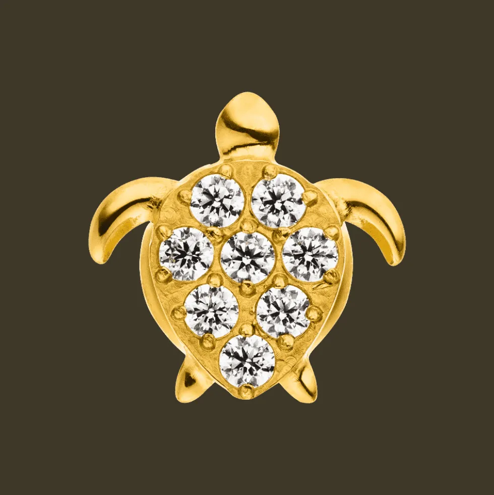 Turtle Piercing | Titan